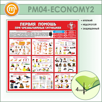       (PM-04-ECONOMY2)